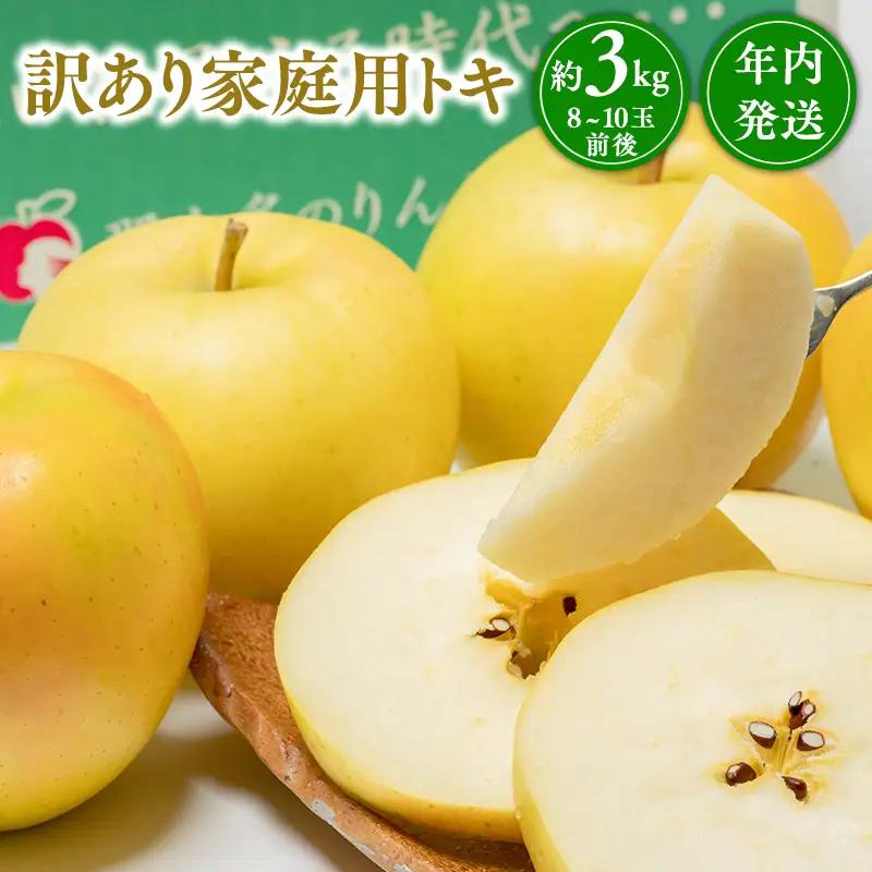 りんご 家庭用 トキ 約3kg 青森県平川市産 りんご
