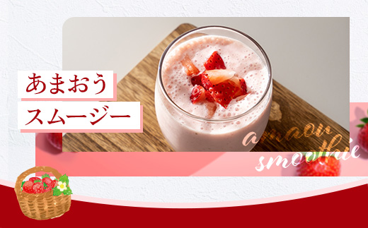 福岡県産 あまおう 500g 送料無料 いちご 果物 フルーツ ギフト 季節限定 スイーツ ケーキ ブランド 先行予約 2025年2月より順次発送 TY052-1