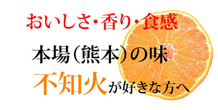 先行予約 訳あり デコみかん 4.5kg【2027年1月中旬-2027年4月下旬発送予定】  家庭用 規格外 フルーツ みかん 果物 果物 旬