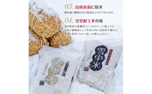 令和8年産【定期便4ヶ月】ななつぼし 無洗米 10kg（5kg×2袋）【2月発送】開始 雪冷気 籾貯蔵 雪中米 北海道 nr-3193