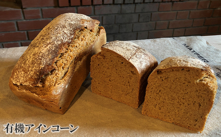 薪窯パン 有機古代小麦3種を使用したこだわりパン 有機古代小麦セレクションB 【 農家パン VERUM 】 ／ パン ぱん ブレッド ベーカリー 古代小麦 薪窯 薪窯焼き 薪窯焼 石窯パン 石窯 卵不