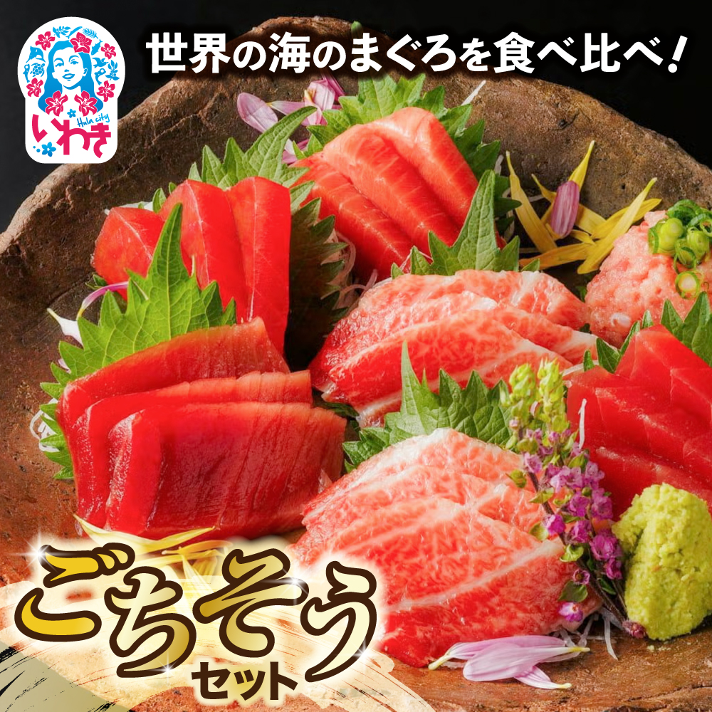 世界の海のまぐろを食べ比べ　ごちそうセット | いわき市 ふるさと納税 まぐろ 食べ比べ セット 世界のまぐろ 本まぐろ みなみまぐろ メバチまぐろ キハダまぐろ びんちょうまぐろ 刺身 冷凍 鮪 マグロ 赤身 中トロ 大トロ 真空パック お造り 粗挽 ネギトロ ねぎとろ | DK013