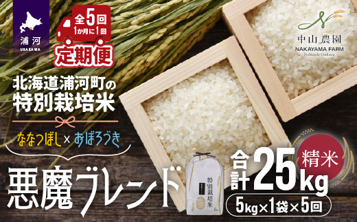 
【新米発送！】北海道浦河町の特別栽培米「悪魔ブレンド」精米(5kg×1袋)定期便(全5回)[37-1226]
