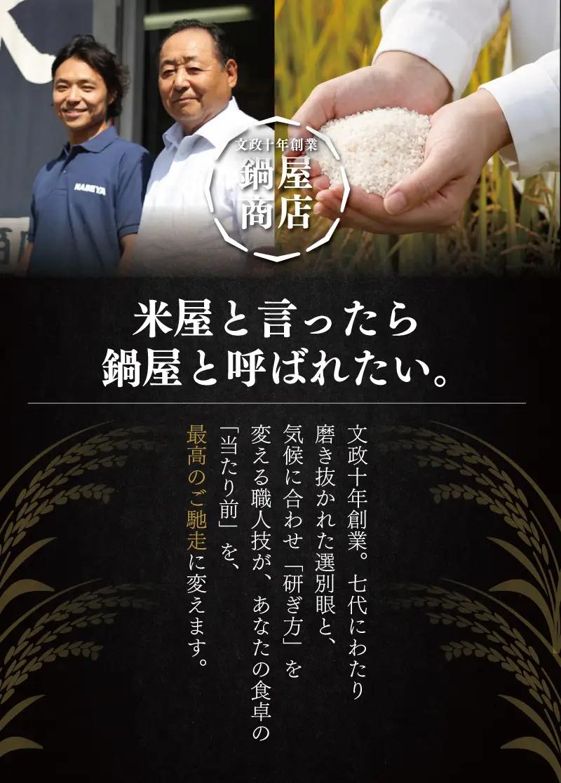 こしひかり 5kg 【コシヒカリ】 令和7年産
