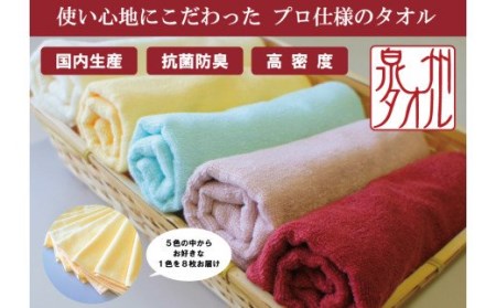 泉州タオル 無蛍光抗菌カラータオル 選べる1色 8枚入り 240匁(オフホワイト)7401-1