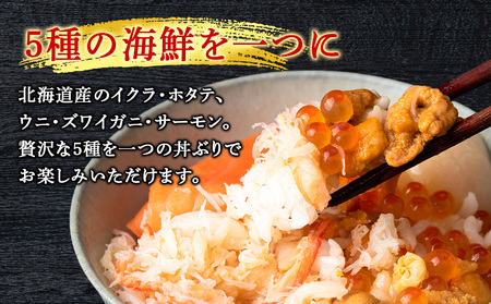 海鮮丼 具 60g×12 丼ぶり 刺身 海鮮セット 【札幌バルナバフーズ】