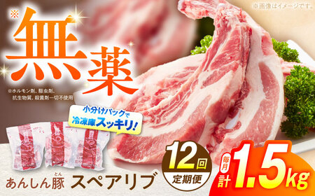 【12回定期便】豚肉 スペアリブ 1.5kg 白川町 / 藤井ファーム[AWAF018]