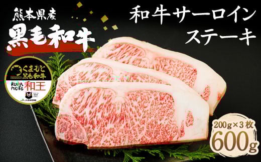 熊本県産 黒毛和牛 サーロイン ステーキ 計600g（200g×3） 国産 牛肉st-p
