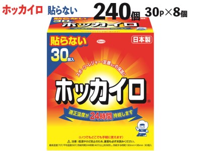 240個 ホッカイロ　貼らないレギュラー　30P×8個 ※離島への配送不可 ※着日指定不可_DJ02