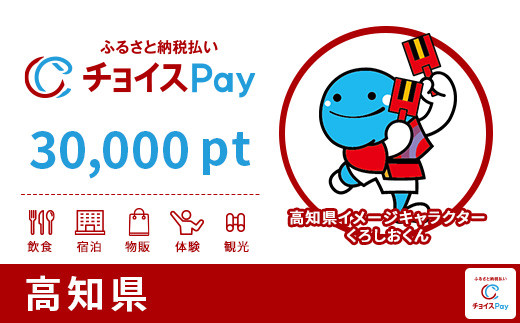 
高知県チョイスPay 30,000pt（1pt＝1円）【会員限定のお礼の品】
