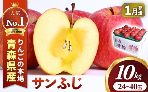 りんご【サンふじ】 約10kg（24～40玉）【2026年産・先行予約】★2027年1月中旬～1月下旬頃発送予定★ 青森県三戸町産 りんご 林檎 フルーツ 果物 果実 青森 三戸 高級 贈答 ギフト プレゼント 産地直送 農家直送 青森県三戸町 AK-25-074