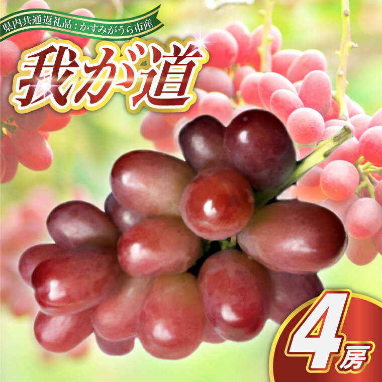 【ふるさと納税】【2025年9月より順次発送予定】我が道　4房(県内共通返礼品:かすみがうら市産)【配送不可地域：離島・沖縄県】 (BR107)
