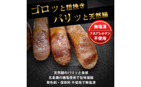 【長さ20-30cm超ロング！超粗挽きウインナー】GASBO(ガスボー)計100本(100g×2本入り×50P) / 佐賀県 / 山代ガス株式会社 旬菜舎さと山[41AABM039]