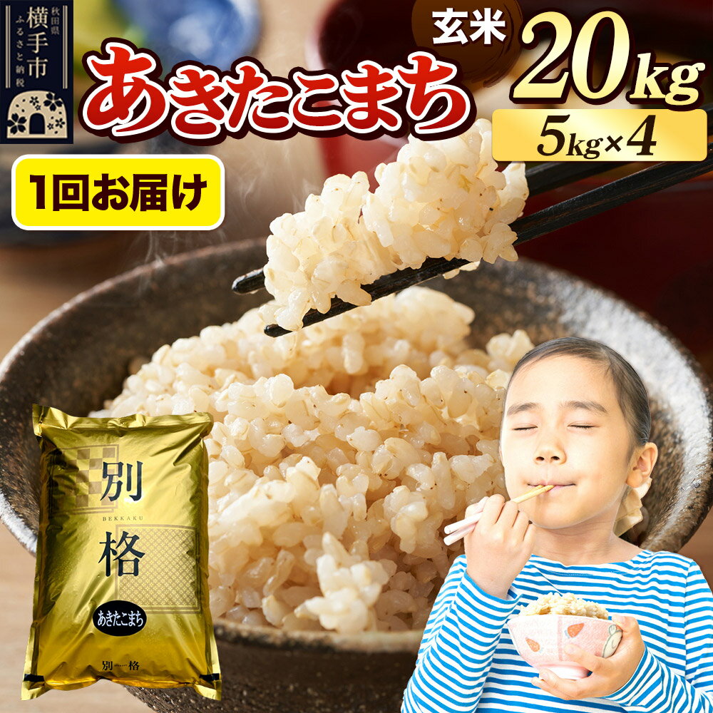 【ふるさと納税】《令和7年産》 米 あきたこまち 20kg（5kg×4袋） 【玄米】 秋田県産