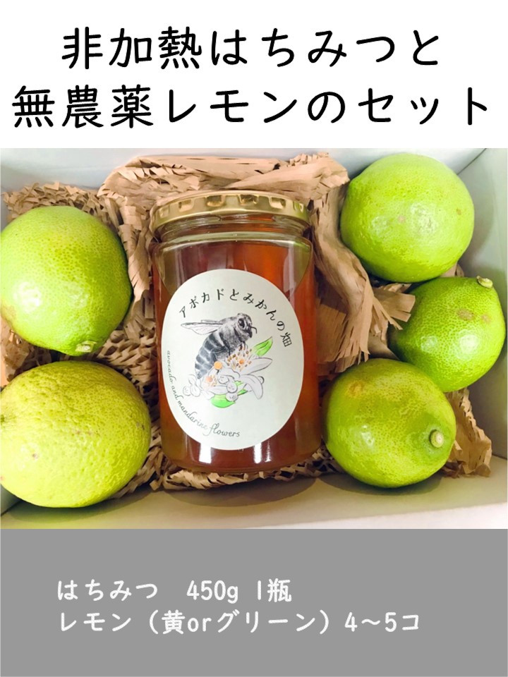 
【数量限定】はちみつ450g 1瓶 無農薬レモン4~5個セット Kura-Kura農園[K001350]
