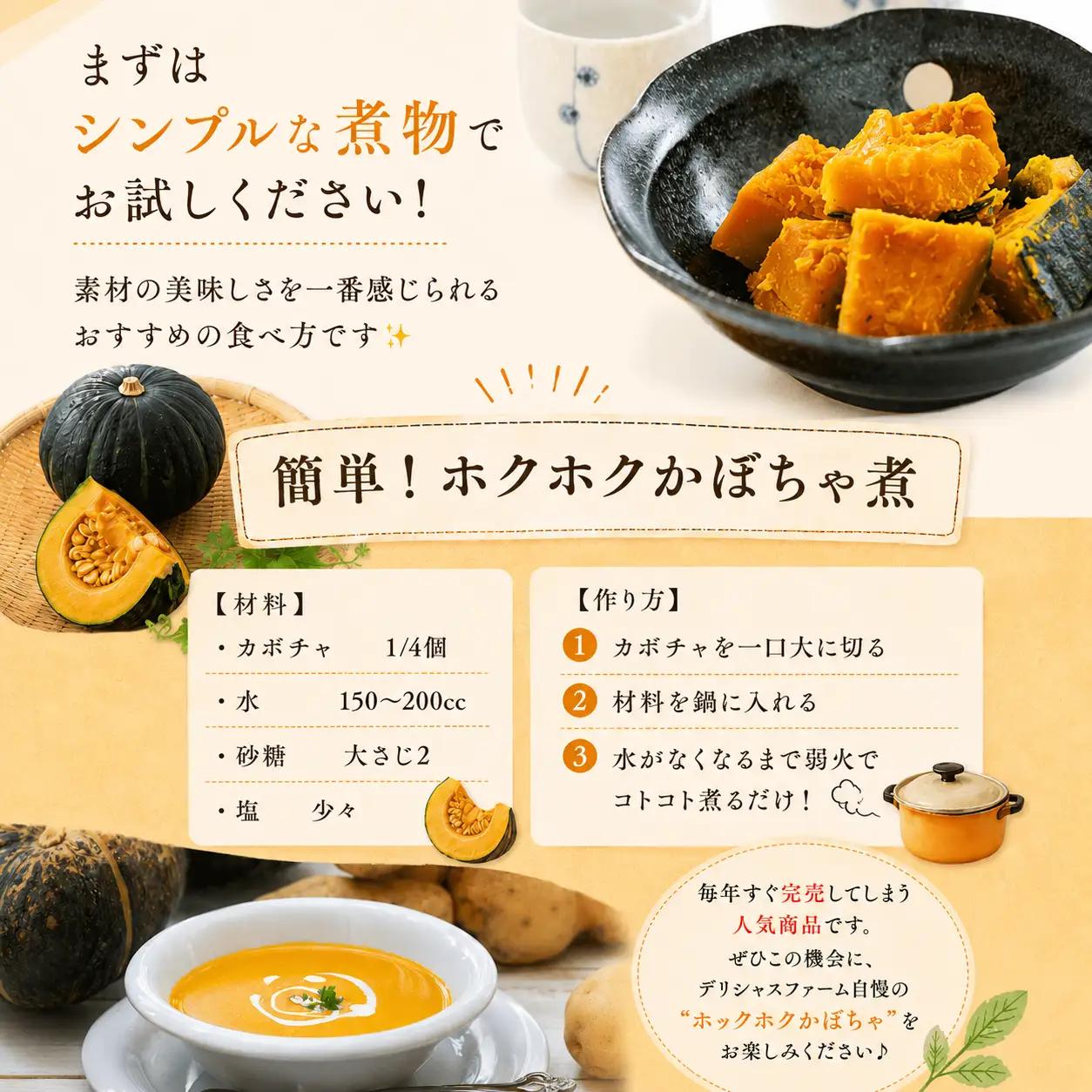 かぼちゃ 【デリシャスファームのかぼちゃ】ダークホース 6キロ ※6月頃より順次発送予定 / 産地直送 カボチャ 南瓜 【delf036】