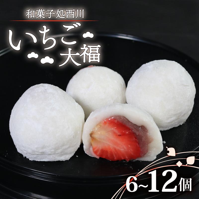 
            いちご大福 日時指定可 6個 / 12個 国産 いちご 大福 期間限定 贈答 ギフト プレゼント 贈り物 ご褒美 イチゴ いちごだいふく フルーツ大福 苺大福 あんこ 餡 スイーツ デザート 限定 旬 お菓子 お茶菓子 和菓子 洋菓子 老舗 送料無料 徳島県 吉野川市
          