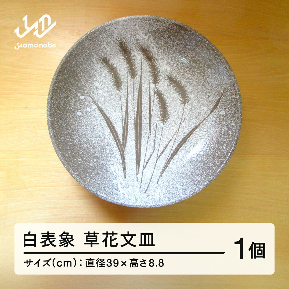 【ふるさと納税】 白表象　草花文皿 陶芸 陶器 おしゃれ 工芸品 民芸品 送料無料 oo-toskx