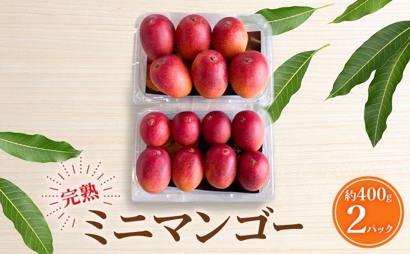 【受付期間7月10日まで】マンゴー 完熟ミニマンゴー 約800g(