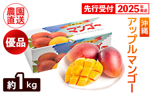 【化粧箱入】【先行受付・2025年発送】ヤマト農園 アップルマンゴー約1kg（優品）- 先行予約 沖縄県産 産地直送 南国フルーツ 旬の味覚 季節の果物 贈り物 ギフト 沖縄県 八重瀬町