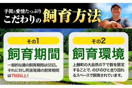 阿波尾鶏 鶏肉 もも肉 500g × 4パック 計2kg 岸農園 《30日以内に出荷予定(土日祝除く)》鶏肉 もも肉 お肉 鳥肉 とり肉 阿波尾鶏 地鶏 大容量 小分け 国産 徳島県産 唐揚げ から揚