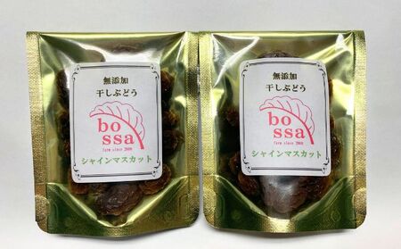 干しぶどう シャインマスカット 無添加 国産 干しぶどう【40g×2袋】