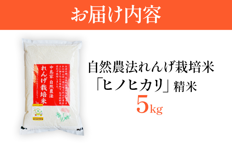 米 白米 ヒノヒカリ 精米 れんげ栽培米 自然農法れんげ栽培米「ヒノヒカリ」（精米・5ｋｇ） 5kg れんげ草 れんげ栽培 栽培期間中農薬不使用 有機肥料 有機栽培米 SDGs 環境 予約 国産 福岡