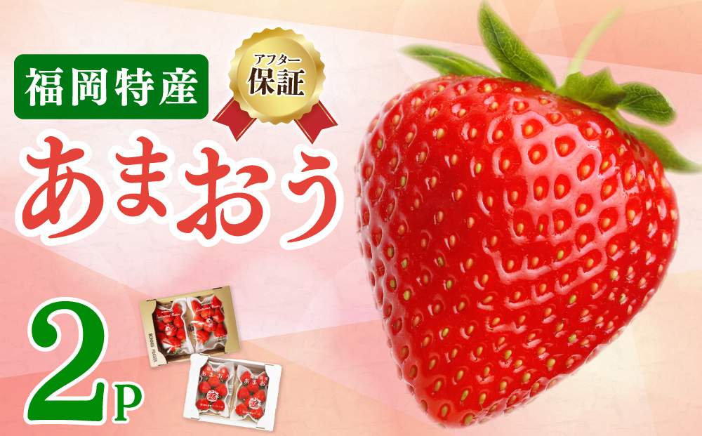 《先行予約》【アフター保証】いちご あまおう 大木町 約250g×2パック 合計500g 【2027年2月～3月に順次出荷予定】 イチゴ あかい まるい おおきい うまい CB223-2P-b