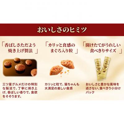 ふるさと納税 伊丹市 銀のスプーン三ツ星グルメ香るお魚仕立て下部尿路健康1歳〜10歳頃までのお魚レシピ[54030337] |  | 03