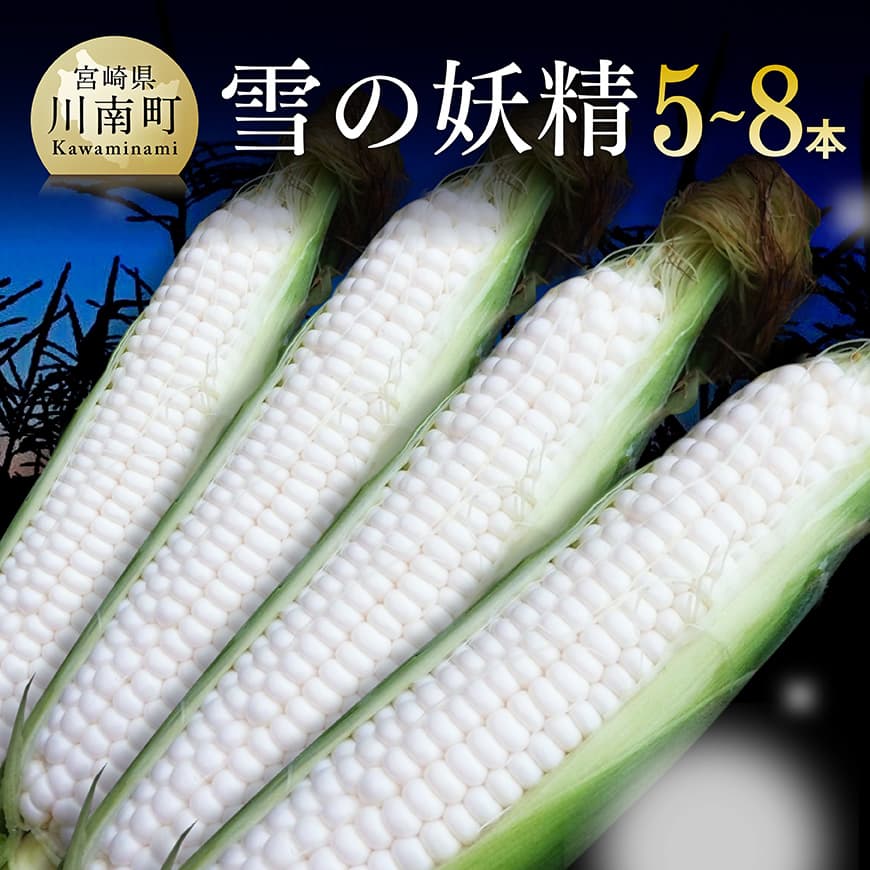 【令和8年発送】大山さんちのホワイトコーン(雪の妖精)5～8本　とうもろこし スイートコーン[C07105]