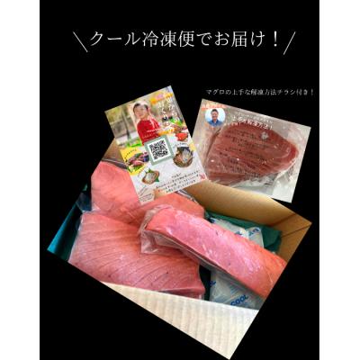 ふるさと納税 田野町 【四国一小さなまち】土佐沖どれキハダマグロ　約250g×3柵【カネアリ水産】 |  | 03