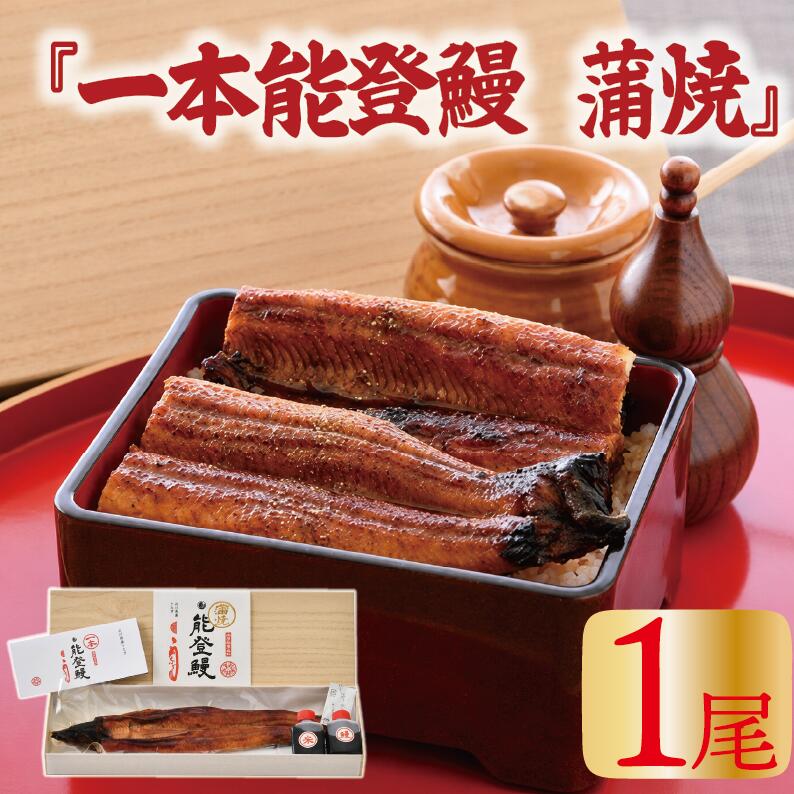 【ふるさと納税】 うなぎ 国産 蒲焼き ミシュラン掲載の老舗料亭『まつお』の一本能登鰻 国産うなぎ 鰻 うなぎ 1尾 国産うなぎ 蒲焼 こだわり の タレ 2種 付き 能登を味わう ふっくら 美味しい 能登うなぎ うなぎ国産蒲焼き ふるさと納税 羽咋市 石川県 羽咋