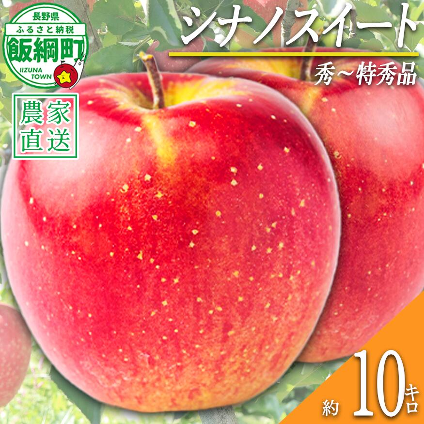 【ふるさと納税】 りんご シナノスイート 10kg 秀〜特秀 宮本ファーム 〔 果物 フルーツ 林檎 長野 予約 農家直送 贈答用 10キロ 〕【令和8年度収穫分】 発送：2026年10月上旬〜