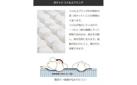 クイーンサイズ（2枚分割式）160CM幅 マットレス　グランライトベーシック　ホワイト