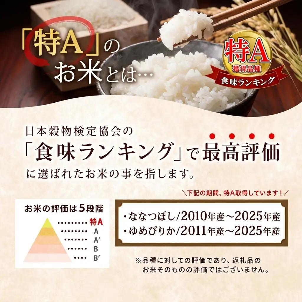 ななつぼし 無洗米 6kg 定期便 12回 令和8年産 お米 ななつぼし