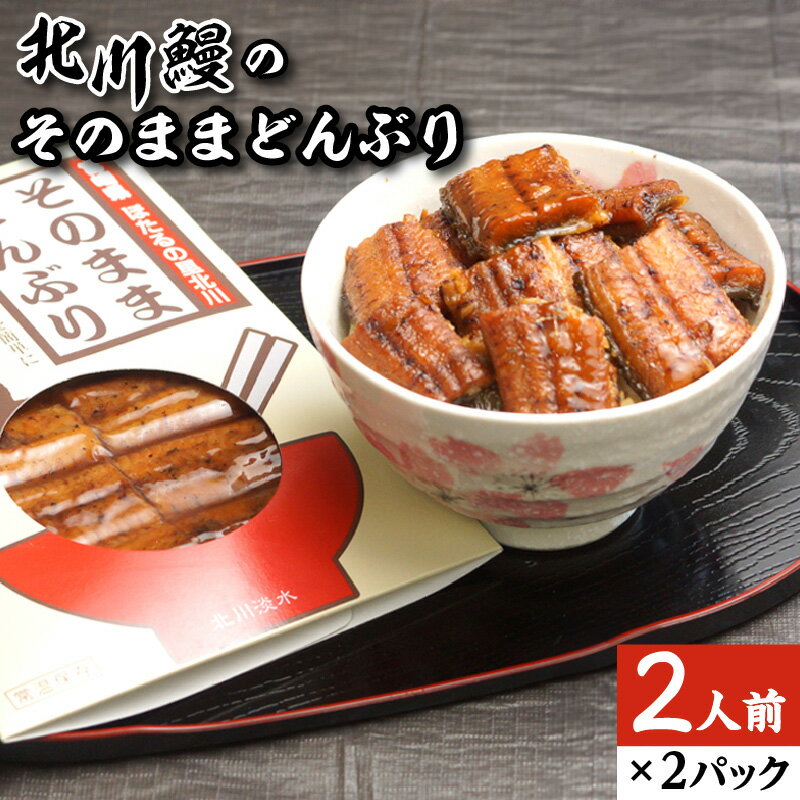 【ふるさと納税】うなぎ 北川鰻 そのまま どんぶり 2人前 × 2パック セット うな丼 うなぎ茶漬け ひつまぶし 国産 取り寄せ お取り寄せグルメ 真空パック 宮崎県 延岡市 北川淡水 送料無料