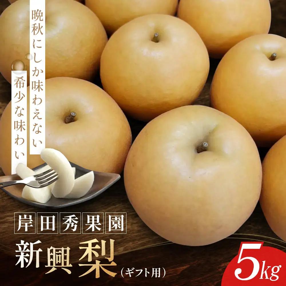 【2026年10月頃より発送】岸田秀果園 新興梨(ギフト用) 5kg
