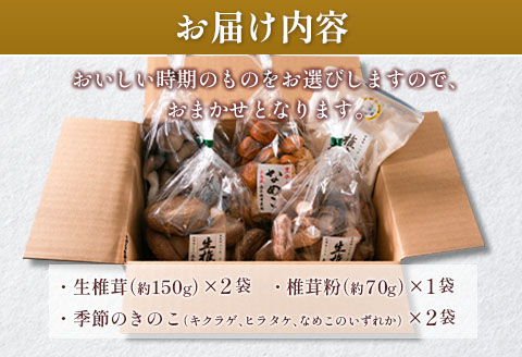 きのこ 椎茸 肉厚生椎茸 季節のきのこセット 吉木椎茸農園