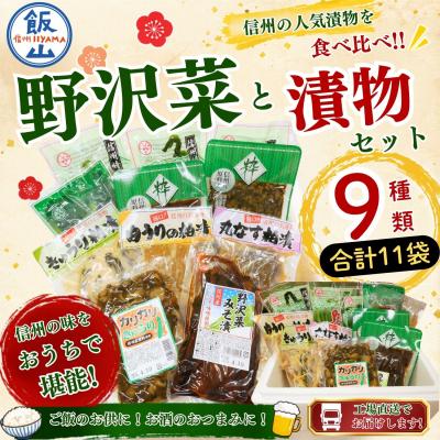 ふるさと納税 飯山市 信州の味　野沢菜と漬物セット(9種類11袋)