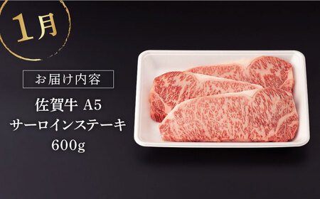 【3回定期便】佐賀牛 冬の定期便 極コース 【桑原畜産】[NAB109] 佐賀牛牛肉食べ比べ 佐賀牛牛肉食べ比べ 佐賀牛牛肉食べ比べ 佐賀牛牛肉食べ比べ 佐賀牛牛肉食べ比べ 佐賀牛牛肉食べ比べ 佐賀牛