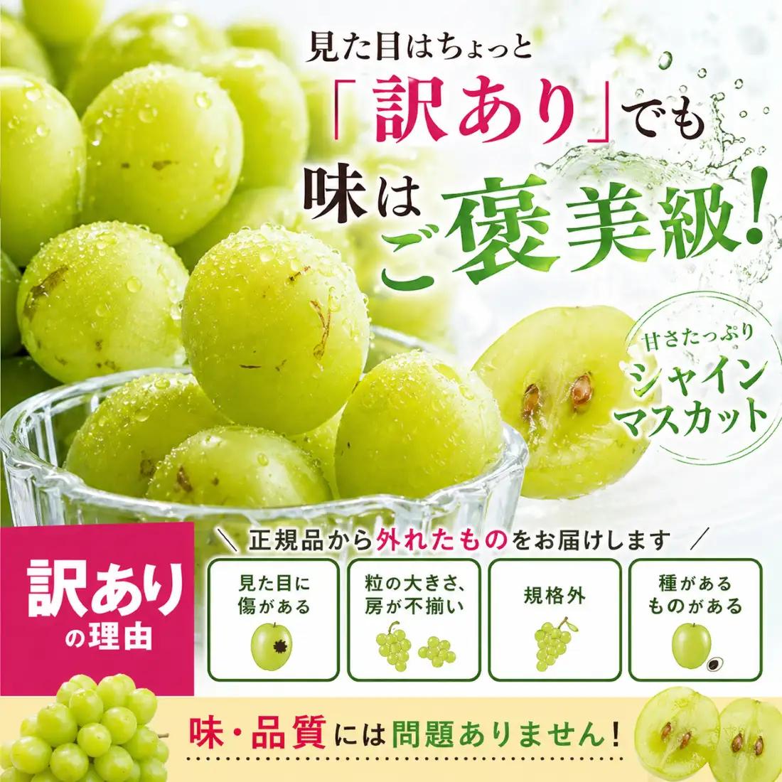 訳あり シャインマスカット 約 1kg  【 シャインマスカット 】
