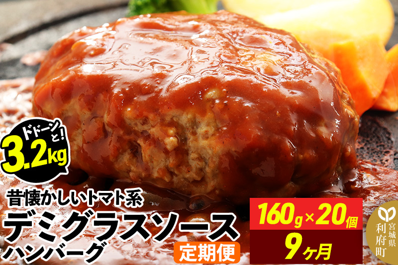 《定期便9ヶ月》ドドンと3.2kg！昔懐かしいトマト系デミグラスソースハンバーグ (160g×20個)×9回 肉 洋食 簡単 大容量 湯煎 湯せん 個包装|06_thm-040609