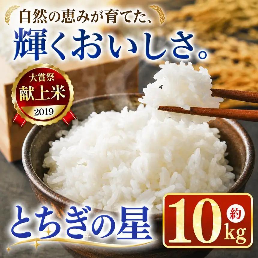 令和7年度 とちぎの星 10kg 