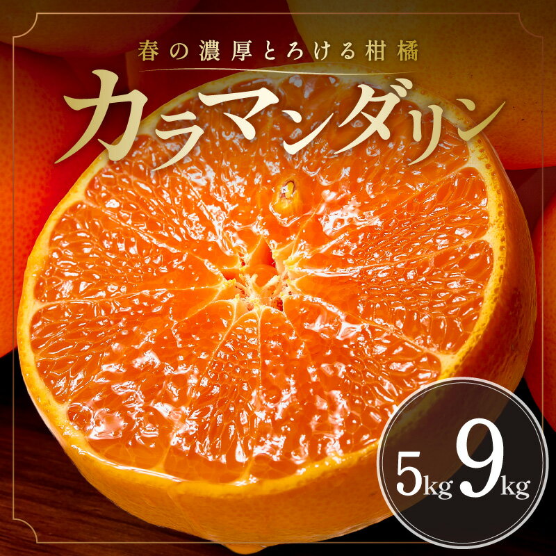 【ふるさと納税】【2027年発送先行予約品】濃厚とろ旨！ ミカファーム みかん カラマンダリン 5kg 9kg 数量限定 【ジューシーで濃厚な味わいの「オレンジ風温州みかん」】