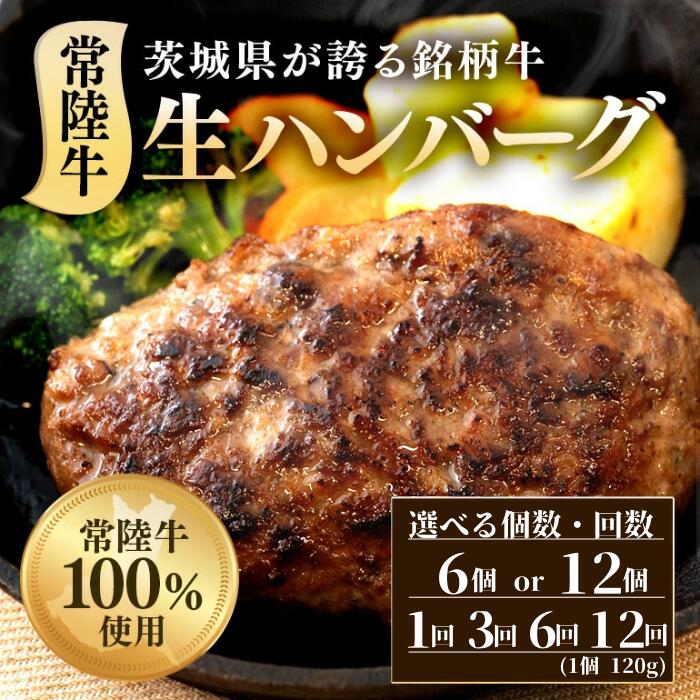 【ふるさと納税】ハンバーグ 牛肉 肉 黒毛和牛 冷凍 国産 贅沢 生ハンバーグ 選べる容量 120g× 6~12個 定期便 常陸牛 100％