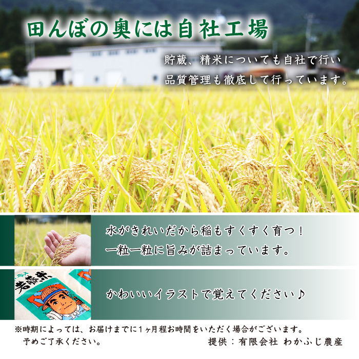 【 2026年 11月より発送開始】 岩手県産 新米 あきたこまち 精米 5kg 2袋 総量 10kg 1ヶ月おき 6回 定期便 【わかふじ農産】 白米 米 お米 こめ コメ ライス ご飯 ごはん 贈