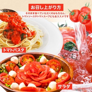 【11月発送】トマト魂！峯本の贅沢フルティカトマト（中玉サイズ）3kg 3キロ 　ミディトマト  トマト ふるさと納税 フルティカ とまと サラダ 野菜 美味しい【R01038】