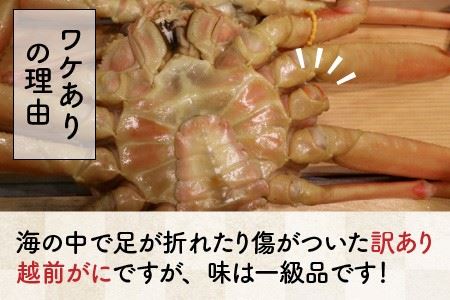 【先行予約】訳あり 越前ズワイ蟹(中) 1杯 と 干しカレイ 2匹【2024年1月～3月発送予定】【カニ かに わけあり 海鮮 蟹 越前がに 越前ガニ ずわいがに ズワイガニ 姿 まるごと 日本海 冬