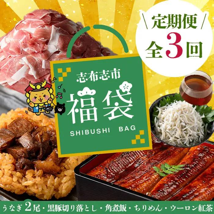 【定期便全３回】志布志市福袋！鰻とおかずいろいろセット(霧島湧水鰻2尾＆釜揚げちりめん＆黒豚ウデ切り落とし＆ウーロン紅茶＆角煮飯) ウナギ 蒲焼 2尾 鰻重 うな丼 黒豚 しらす ちりめんじゃこ バラ