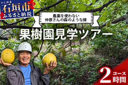 10月?3月は1番人気の文旦も食べ放題＆お土産付！＜1回1組限定プライベート体験ツアー！＞農薬を使わない、仲原さんの「森のような畑」 OI-21-1